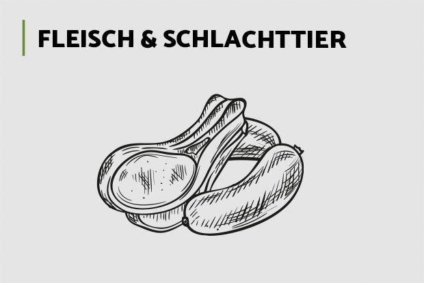 Fleisch und Schlachttier