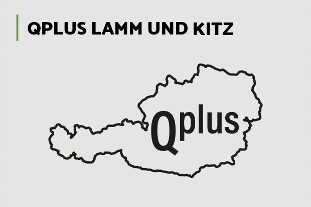 QPlus